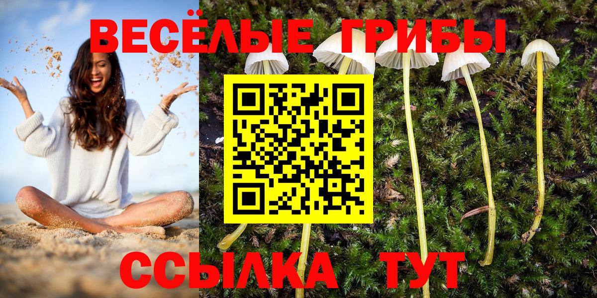 Галлюциногенные грибы MAGIC MUSHROOMS Бузулук