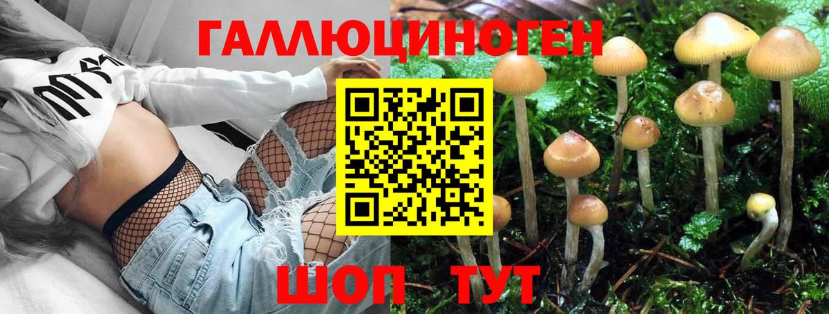 Бузулук  Галлюциногенные грибы мухоморы  Вход с VPN 